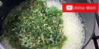 Cilantro