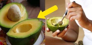 aguacate