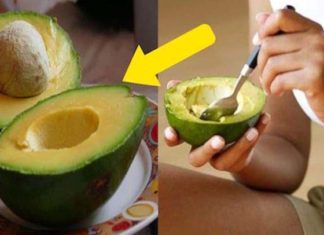 aguacate