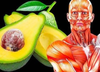 aguacate
