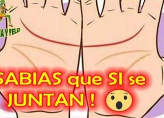 Lineas manos