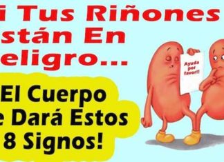 riñones