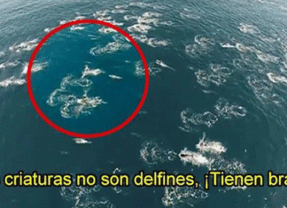 Sirenas