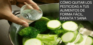 frutas y verduras