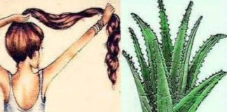 cabello