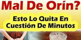 riñones